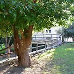 Casale La Rocchetta Bed & Breakfast